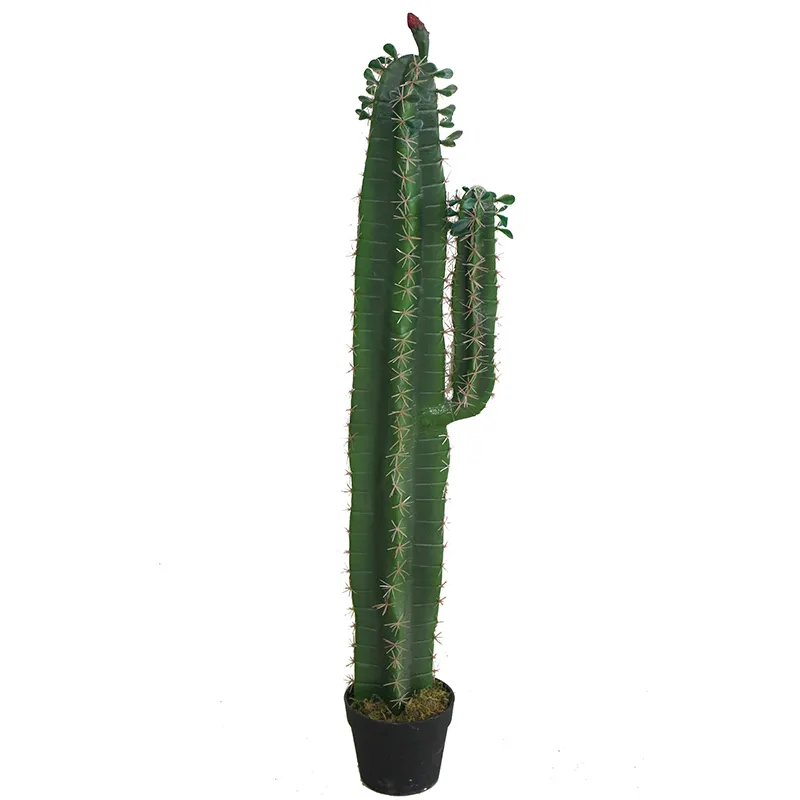 Wholesale bonsai artificial cactus plants plastic cactus trees for indoor decoration