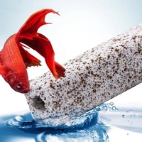 Support filtrant durable pour bactéries nitrifiantes avec 1300 ° Procédé de frittage C, support céramique fiable pour biofiltre d'aquaculture
