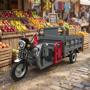 Bicicleta Eléctrica de 70 km/h, 750 W, 48 V, 20 Ah, con Transmisión por Eje, Frenos Hidráulicos, para Adultos y Adolescentes - Product Image 2
