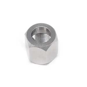 Oem Customized Pipe Fittings Rod Coupling Nuts Stainless Steel Nut Zinc Plated Nuts