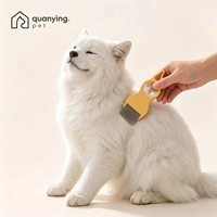 Peigne anti-puces pour animaux de compagnie en gros, en PC et ABS, à dents fines, pour l'élimination des poux et des lentes, avec poignée ergonomique et loupe intégrée, pour chiens et chats