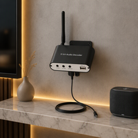 Décodeur Audio 5.1 Ch de haute qualité systèmes de cinéma maison stéréo Dts AC3 décodeur Audio 5.1 canaux