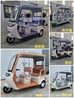 Vélo-taxi électrique haute puissance du fabricant direct, avec auvent intégré, sièges double rangée élargis, plaque d'immatriculation incluse