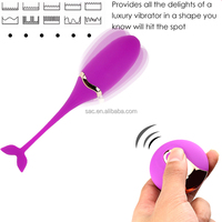 SacKnove Hot Selling Medical Silikon Vagina Vibrierender Schwanz Ei Sexspielzeug Frauen Fern gesteuerter Vibrator Vibrierendes Höschen