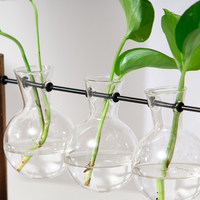 Vase en verre transparent pour plantes hydroponiques personnalisé avec support en bois, station de propagation