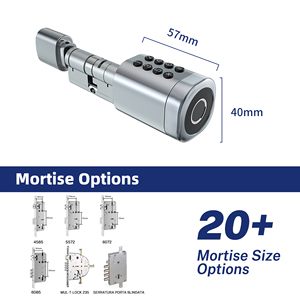 Cerradura de Cilindro Inteligente Liliwise Tuya Ttlock Ajustable con Huella Digital, Tarjeta RFID y Llave, WiFi BLE para Reemplazar Mecanismos Antiguos - Product Image 3