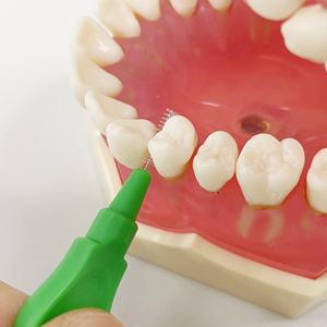 <span class=keywords><strong>Oem</strong></span> מותאם אישית לוגו 50pcs ידידותי לסביבה מברשות שיניים טיפול אוראלי שיניים flosser ortho i-עיצוב שטח בין שיניים - Product Image 5