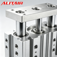 Cilindro Neumático de Doble Acción de la Serie MGP de ALITAIR, con Guía Compacta de Acero Inoxidable