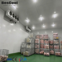 Système de stockage frigorifique commercial pour viande, projet clé en main avec panneaux en PU pour la solution de transformation des aliments surgelés