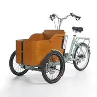 3 גלגלים חשמלי נייד מטען אופניים עם 2 מושבים למבוגרים תלת אופן משפחה ילדים קטנוע עגלה לממכר