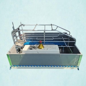 Nouvelle Cage de Maternité pour Porcs HENGYIN Populaire et Indispensable, en Acier Galvanisé à Chaud, Système d'Alimentation Entièrement Automatique, Lisse et Anti-corrosion - Product Image 3