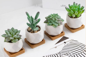 Xinrunjin Mini suculentas flores simuladas PVC portátil al por mayor pequeña decoración de plantas en maceta pantalla de seda regalos de negocios - Product Image 5