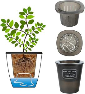 Translucide noir succulent planteur jardinières auto-eau pour plantes d'intérieur en plastique clair auto-arrosage Pot de plante - Product Image 3