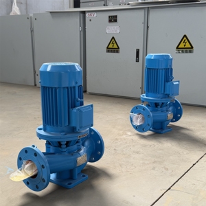 Bomba HVAC de hierro fundido para construcción de edificios: Rendimiento fiable, alta estabilidad para plantas industriales. - Product Image 5