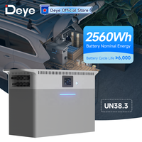 Batterie solaire domestique Deye OEM/ODM à montage au sol, Lifepo4, 51,2 V, pack de secours au lithium avec garantie de 10 ans