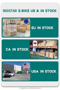 ชุดโครงจักรยานไฟฟ้าสไตล์ดัตช์จักรยานไฟฟ้าทำจากอะลูมิเนียมอัลลอยสำหรับผู้โดยสารเด็ก - Product Image 2