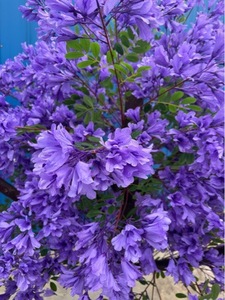 Promotion : Arbre artificiel en fleurs de soie, cerisier violet, centre de table pour décoration de mariage - Product Image 4