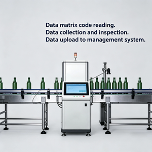 Línea de Seguimiento de Paletas de Botellas Totalmente Automática con Lectura de Códigos de Matriz de Datos, Inspección y Carga de Datos al Sistema de Gestión - Product Image 1