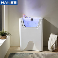 Baignoire moderne pour animaux de compagnie (chiens et chats) avec système de douche réglable, fond antidérapant et conception facile à nettoyer pour le toilettage des animaux