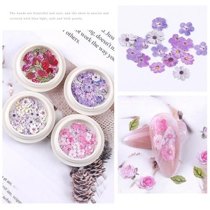 Décorations d'ongles 3D en pâte de bois colorée, mini-fleurs, breloques pour ongles, imitation fleurs séchées, pour manucure DIY, vente en gros - Product Image 3