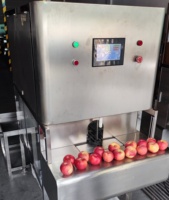 Machine à peler et à trancher les pommes Daqiao Industrial PLC Core, haute efficacité, facile à utiliser, capacité de 1200 pièces/h, 220V 1.5kW, 1-3mm