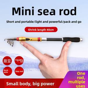 Mini <span class=keywords><strong>ensemble</strong></span> de tige de leurre de carpe Super dur Ultra-court carbone océan plage pêche longue distance coulée tige nue - Product Image 3