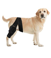 Genouillère réglable en néoprène pour chien, confortable et respirant, avec ligament croisé pour animaux de compagnie, enveloppe articulaire, protection contre les blessures