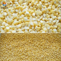 Pompe moteur pour machine à laver le maïs frais SUS 304, idéale pour le traitement, la blanchiment et le séchage des soja, blé, noix, légumes et fruits – Approvisionnement direct usine