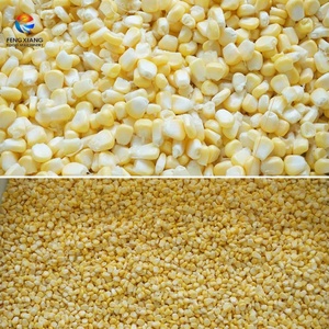 Machine de lavage, blanchiment et séchage de maïs frais et de maïs sucré, fournie directement par l'usine - Product Image 6