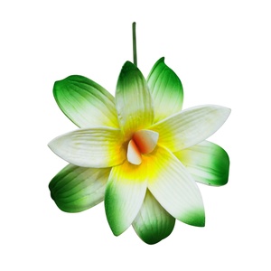 Hawaiano floral accesorios <span class=keywords><strong>para</strong></span> el cabello flor de la orquídea <span class=keywords><strong>pelo</strong></span> artificial de la flor de espuma <span class=keywords><strong>pelo</strong></span> - Product Image 5