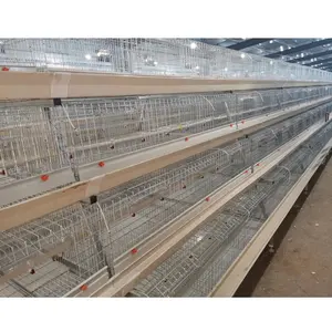 מפעל מחיר מכירה לוהטת באיכות טובה חמה מגולוון רשת שכבה עוף כלוב לעופות חקלאי
