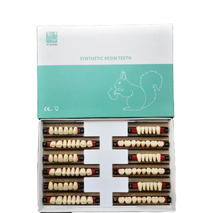 Produttore Protesi Artificiale Acrilico Denti In Resina per la Vendita All'ingrosso CE ISO - Product Image 6