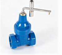 Vanne à opercule à joint souple, manuelle, avec verrouillage antivol crypté, raccord fileté pour entrée de compteur, PN16, OEM disponible, 1/2in-2in, pour alimentation en eau