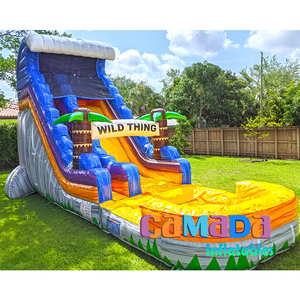 Tobogán acuático de mármol de palmera inflable para adultos tobogán acuático Casa de rebote toboganes de verano - Product Image 6