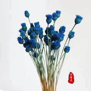 Branches brésiliennes, fleurs séchées, petites fleurs sauvages, arrangements floraux, décoration intérieure, fleurs séchées - Product Image 3