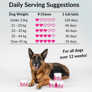 Suplemento Masticable Multivitamínico Personalizado para Perros OEM/ODM, Salud de la Piel y el Pelaje, Apoyo Inmunológico, Alivia la Picazón, Fórmula Personalizada para Mascotas - Product Image 3