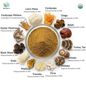 Extrait nutritionnel de champignons USDA, complexe 14-en-1 en poudre, extrait aqueux, Crinière de <span class=keywords><strong>lion</strong></span>, Reishi, Champignon de la Turquie, Anthocyanine, Protéine - Product Image 1