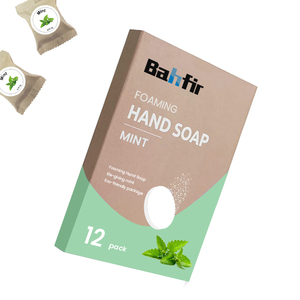 Thân Thiện Với Môi Phân Hủy Sinh Học Tay Xà Phòng Làm Sạch Máy Tính Bảng Không Độc Hại Công Thức Nhựa Miễn Phí Thả Chất Tẩy Rửa Nhà Máy Refill Gói - Product Image 3