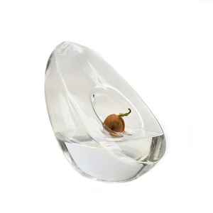 <span class=keywords><strong>Vase</strong></span> hydroponique moderne en verre en forme d'<span class=keywords><strong>avocat</strong></span> conteneur de plantation et de culture de graines <span class=keywords><strong>Vase</strong></span> spécial Pot jardinage - Product Image 1