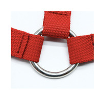 Licol pour cheval en nylon souple et résistant, réglable, avec coussin en mousse