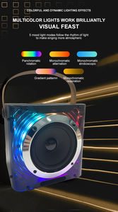 <span class=keywords><strong>เครื่อง</strong></span>บันเทิงกลางแจ้งที่บ้าน<span class=keywords><strong>เครื่อง</strong></span>คาราโอเกะพร้อมไมโครโฟนไร้สายคู่ลําโพงไร้สายแบบพกพา RGB LED ลําโพงคาราโอเกะ - Product Image 4