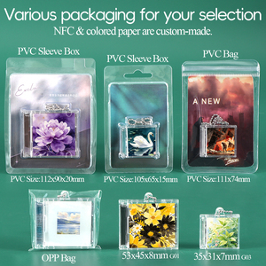 Estuche de PVC Personalizado SUNSHING para Mini Álbum, Caja DIY para Discos de Vinilo, Estuche para CD con Impresión de Fotos, Llavero Musical con Chip NFC - Product Image 3