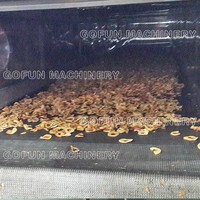 Mango Gedroogde Fruitdroger, Gedehydrateerde Fruitdroogmachine, Fruit En Plantaardige Productielijn