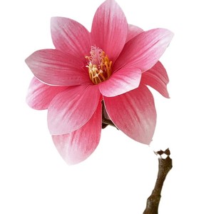 Fábrica de Flores Meiyu, Flor Artificial de Magnolia de 3 Cabezas, Color Rosa, para Decoración del Hogar, Bodas y Accesorios de Fotografía - Product Image 5