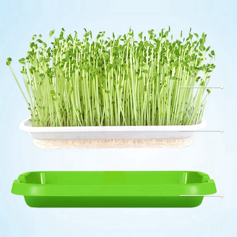 Seedling Tray Sprout Dish Growing Pot