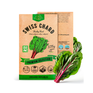 Haute qualité sans OGM pour Swiss Chard Pack 3.75g Chaque facile à cultiver dans votre potager à base de fibres végétales - Product Image 1