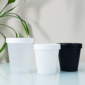 Tarros de Plástico PP Transparente Negro en Stock, Tarros Cosméticos de Pared Gruesa 200g 250g 100g 50g - Product Image 1