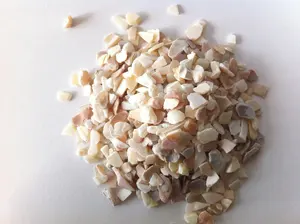 Coquille mère de perle écrasée, 20 pièces, utilisé dans la décoration intérieure des carreaux