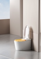 WC intelligent monobloc sur pied avec siège chauffant, couvercle automatique, lavage/séchage à chaud, télécommande, double chasse à siphon, grande remise