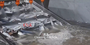 خط إنتاج سمك الرنجة المعلب الكامل مع آلات التعليب - مشروع جاهز للتشغيل - Product Image 4